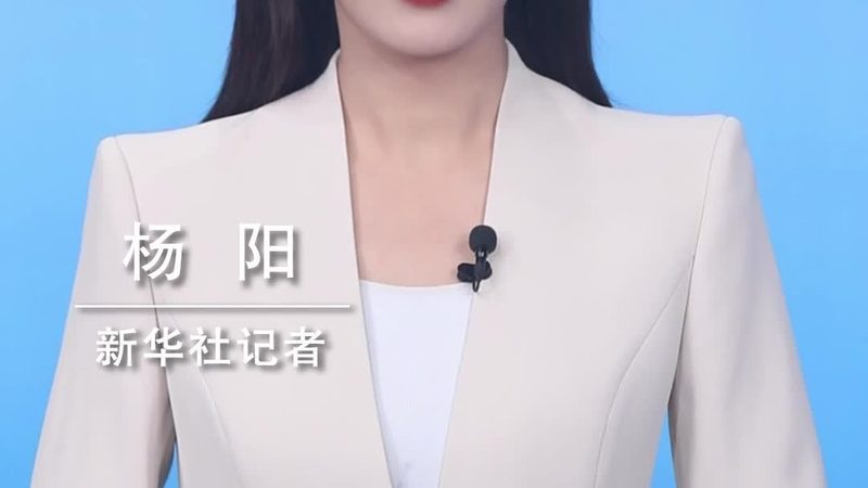 开源商业智能系统定制：企业决策者的明智之选**